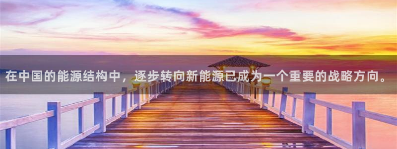 新宝gg是什么