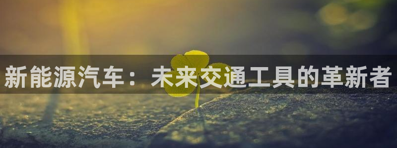 新宝gg挣钱