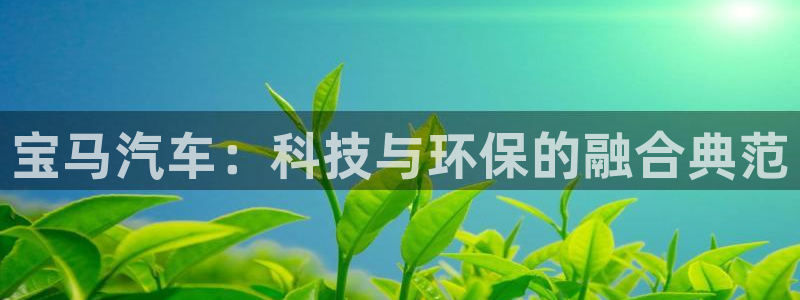 新宝gg主管、