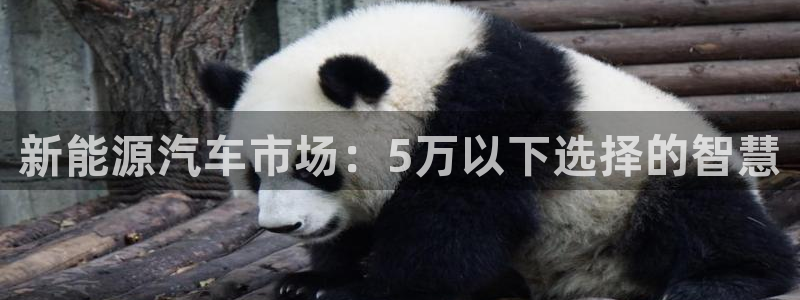 新宝gg手机官网登录：新能源汽车市场：5