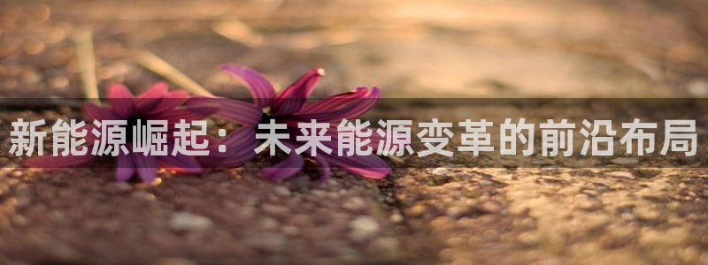 新宝gg官方主管：新能源崛起：未来能源变