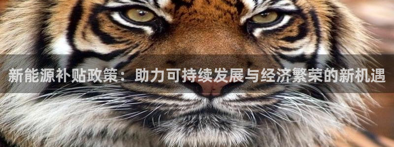新宝gg投注：新能源补贴政策：助力可持续