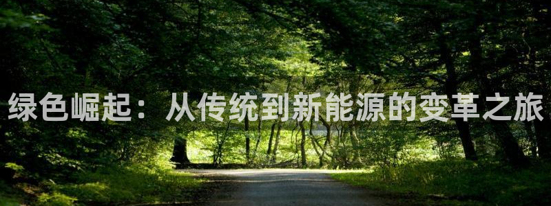 新宝Gg测速地址