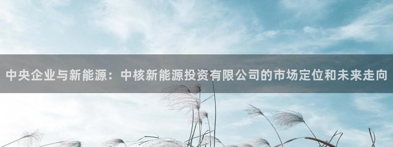 新宝gg娱乐登录地址：中央企业与新能源：
