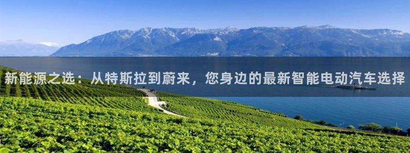 新宝gg工资：新能源之选：从特斯拉到蔚来
