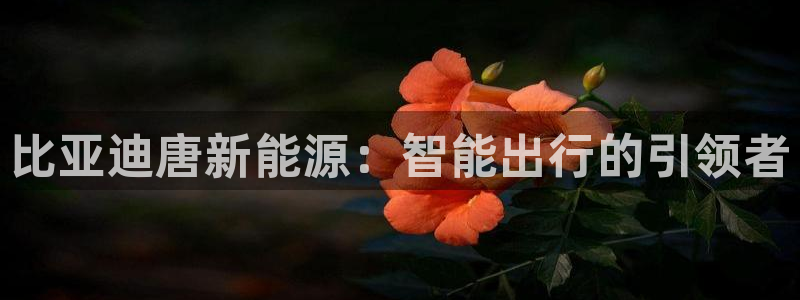 新宝gg娱乐盟主：比亚迪唐新能源：智能出