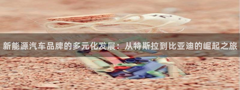 新宝gg手机注册官网：新能源汽车品牌的多
