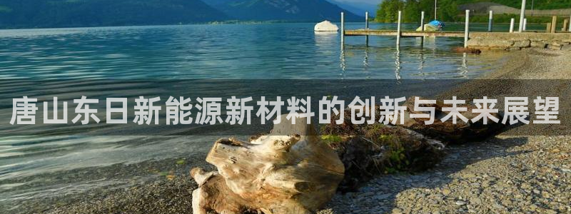 太阳gg和新宝gg:唐山东日新能源新材料的创新与未来展望