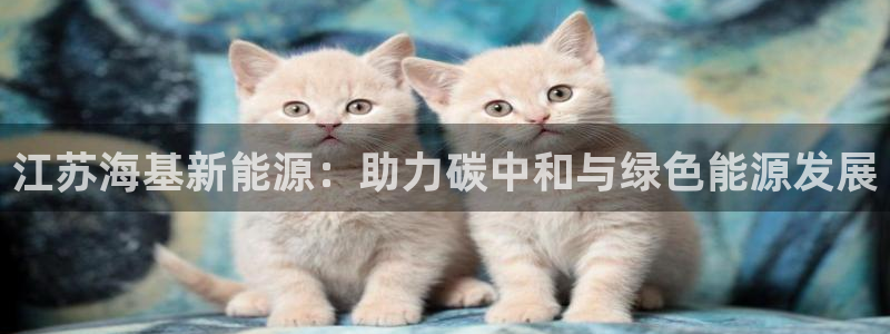 新宝gg ios下载