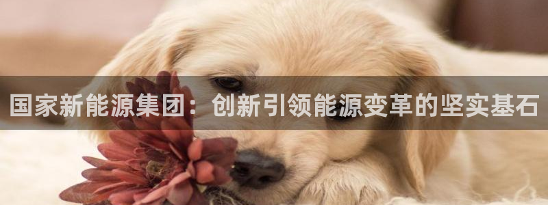 新浪新闻新宝gg