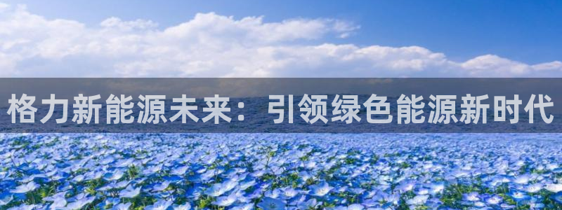 新宝gg娱乐