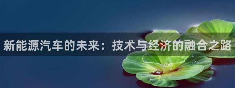 宝GG账78778新宝GG俪78778:新能源汽车的未来:技