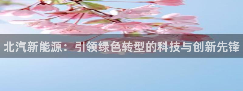 新宝gg测试:北汽新能源:引领绿色转型的科技与创新先锋