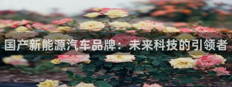 新宝 -gg登录:国产新能源汽车品牌:未来科技的引领者
