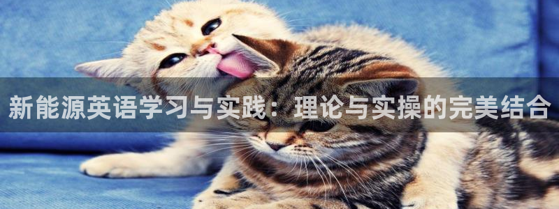 新宝gg cqdellar：新能源英语学