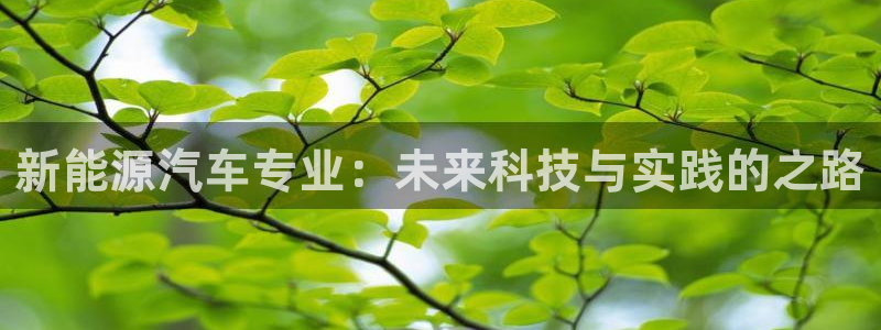 新宝gg-创业奇迹