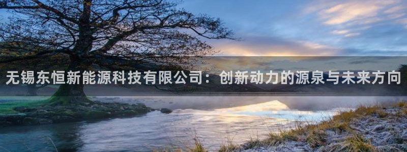登录新宝gg游戏：无锡东恒新能源科技有限