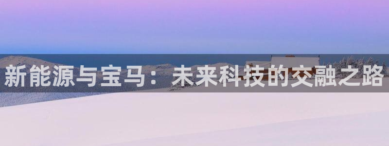 创造奇迹 新宝gg:新能源与宝马:未来科技的交融之路