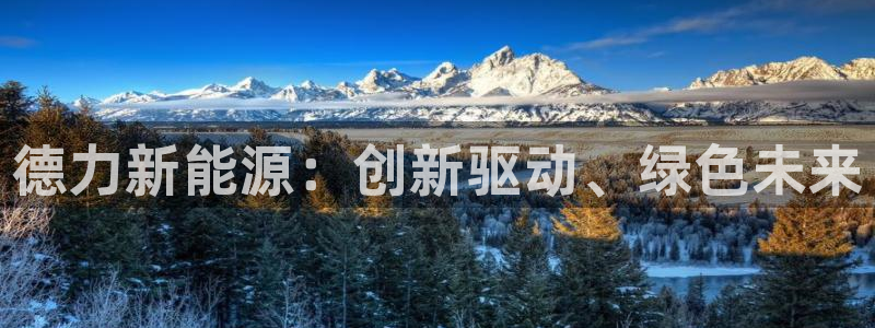 新宝一gg测速:德力新能源:创新驱动、绿色未来