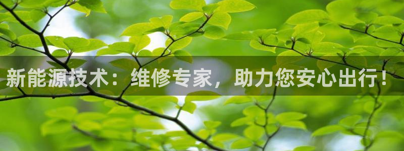 新宝GG上级:新能源技术:维修专家,助力您安心出行!
