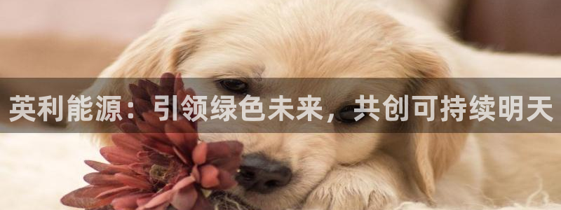 新宝gg 创:英利能源:引领绿色未来,共创可持续明天