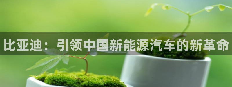 新宝gg漏洞:比亚迪:引领中国新能源汽车的新革命