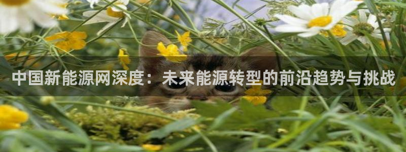 新宝gg客服电话:中国新能源网深度:未来能源转型的前沿趋势与