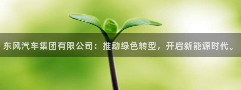 新宝gg佳740005:东风汽车集团有限公司:推动绿色转型,