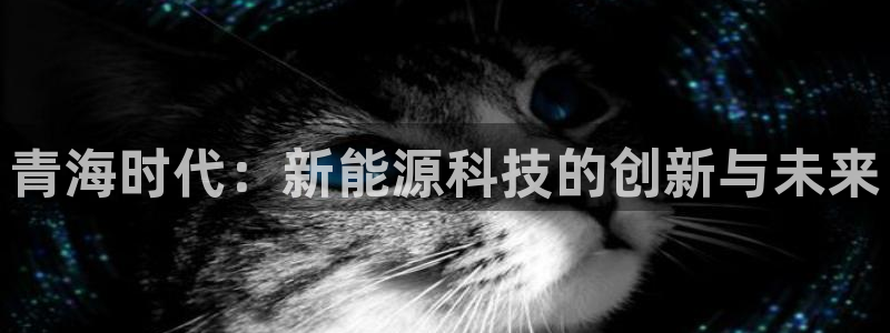 www.新宝gg:青海时代:新能源科技的创新与未来