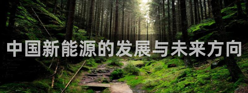 新宝gg线长