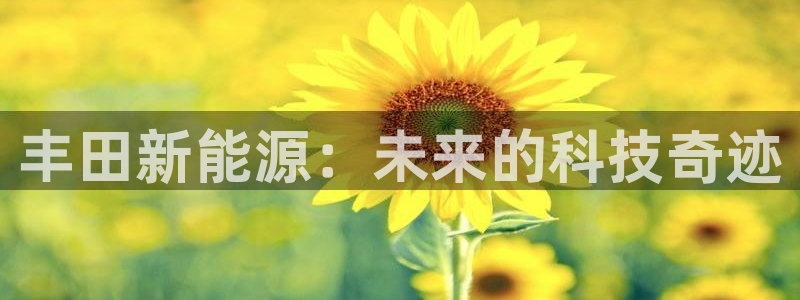 新宝GG专业团队