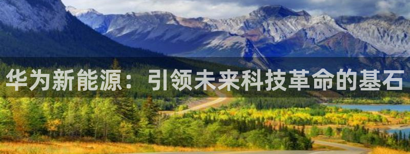 新宝gg为什么没人管