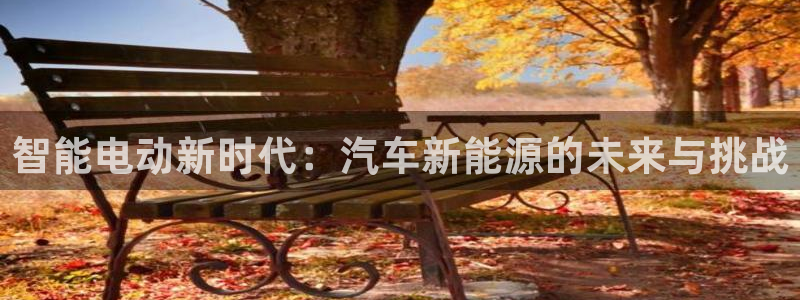 新宝GG反点