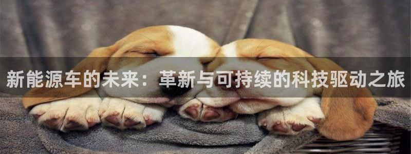 新宝gg手机