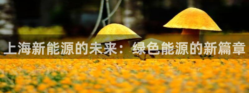 下载新宝gg怎么下载