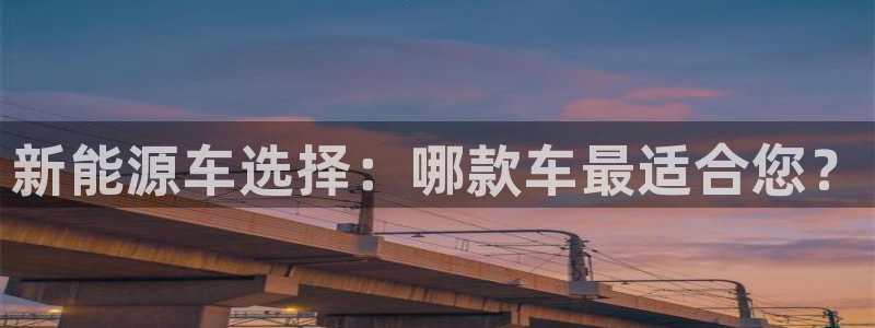 新宝gg(52360)：新能源车选择：哪