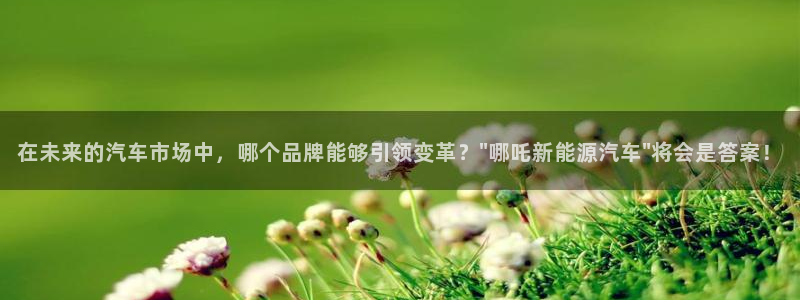 新宝gg 奇迹：在未来的汽车市场中，哪个