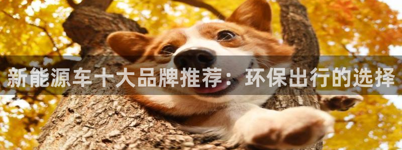 新宝gg灬75505：新能源车十大品牌推