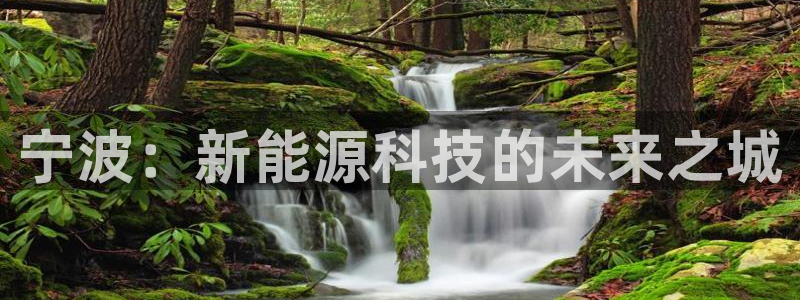 新宝gg赞颂63390:宁波:新能源科技的未来之城