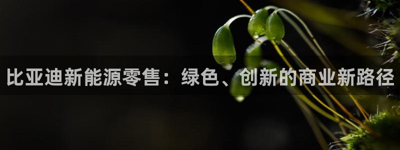 新宝gg平台开发:比亚迪新能源零售:绿色、创新的商业新路径