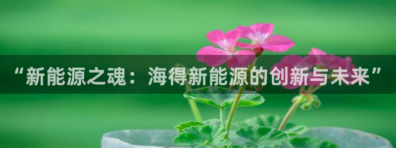 新宝GG的老板