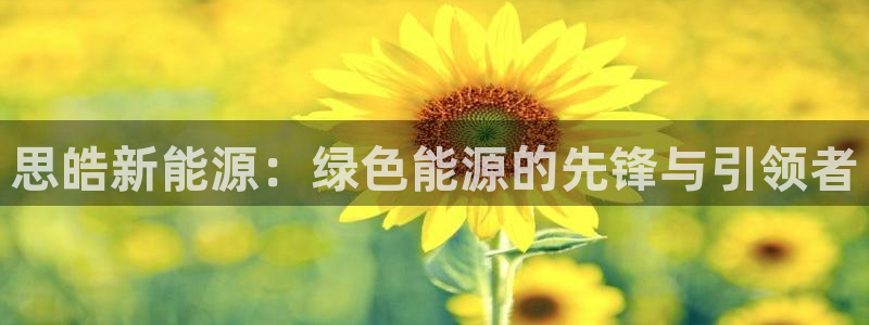 新宝gg创建奇迹