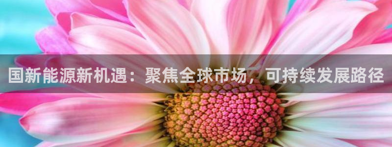 正版新宝gg