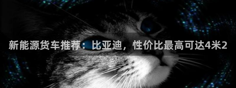 新宝gg维护