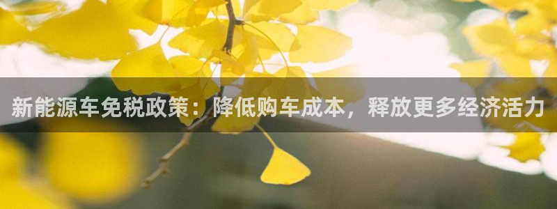新宝 -gg登录：新能源车免税政策：降低
