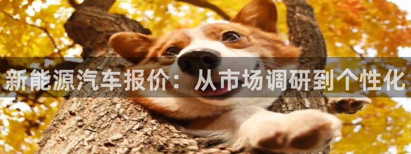 新宝gg公司:新能源汽车报价:从市场调研到个性化