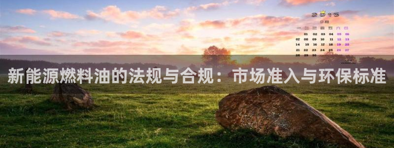 新宝gg 039:新能源燃料油的法规与合规:市场准入与环保标