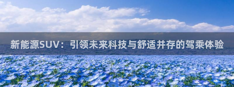 新宝gg创造奇迹 新宝gg