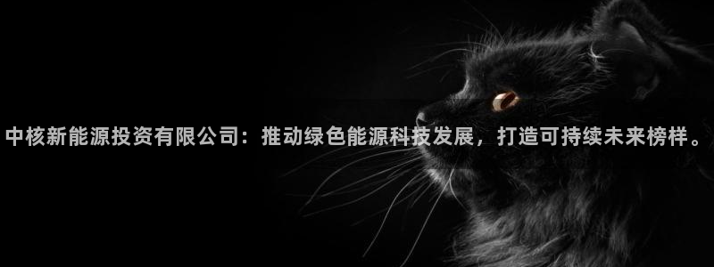 新宝GG朔78778：中核新能源投资有限