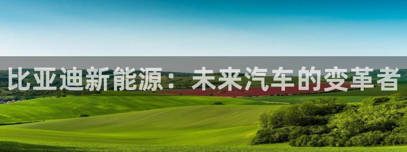 广东新宝电器gg